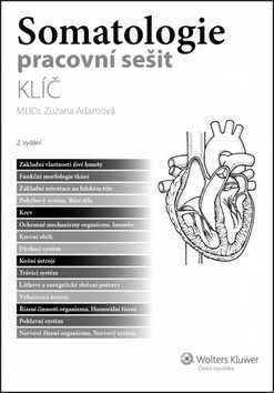 Somatologie - pracovní sešit studenta - Klíč