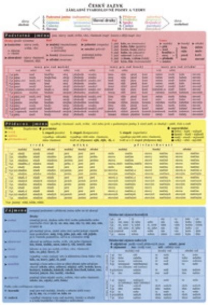 Český jazyk - Základní tvaroslovné pojmy a vzory (tabulka)