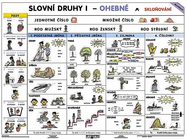 Slovní druhy I - ohebné a skloňování (tabulka, A4)