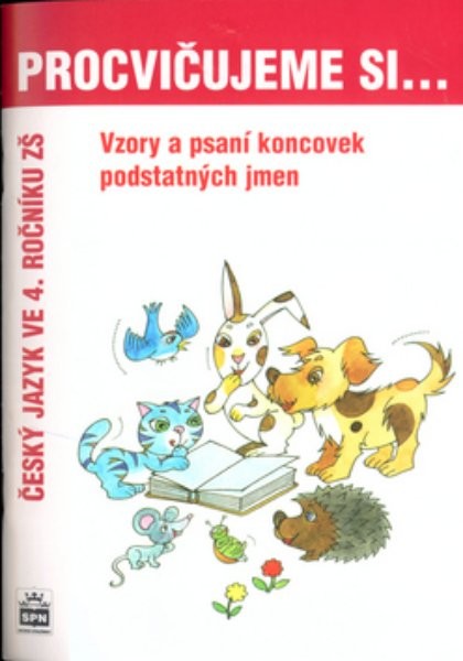 Procvičujeme si...Vzory a psaní koncovek podstatných jmen 4.r.