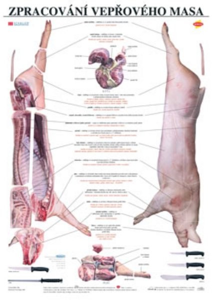 Zpracování vepřového masa - výuková tabule