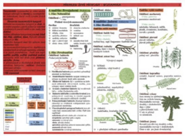 Botanika - Přehled živé přírody (tabulka)