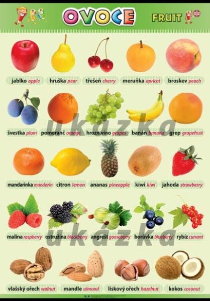 Ovoce - Fruit (nástěnná tabule 100x70 cm)
